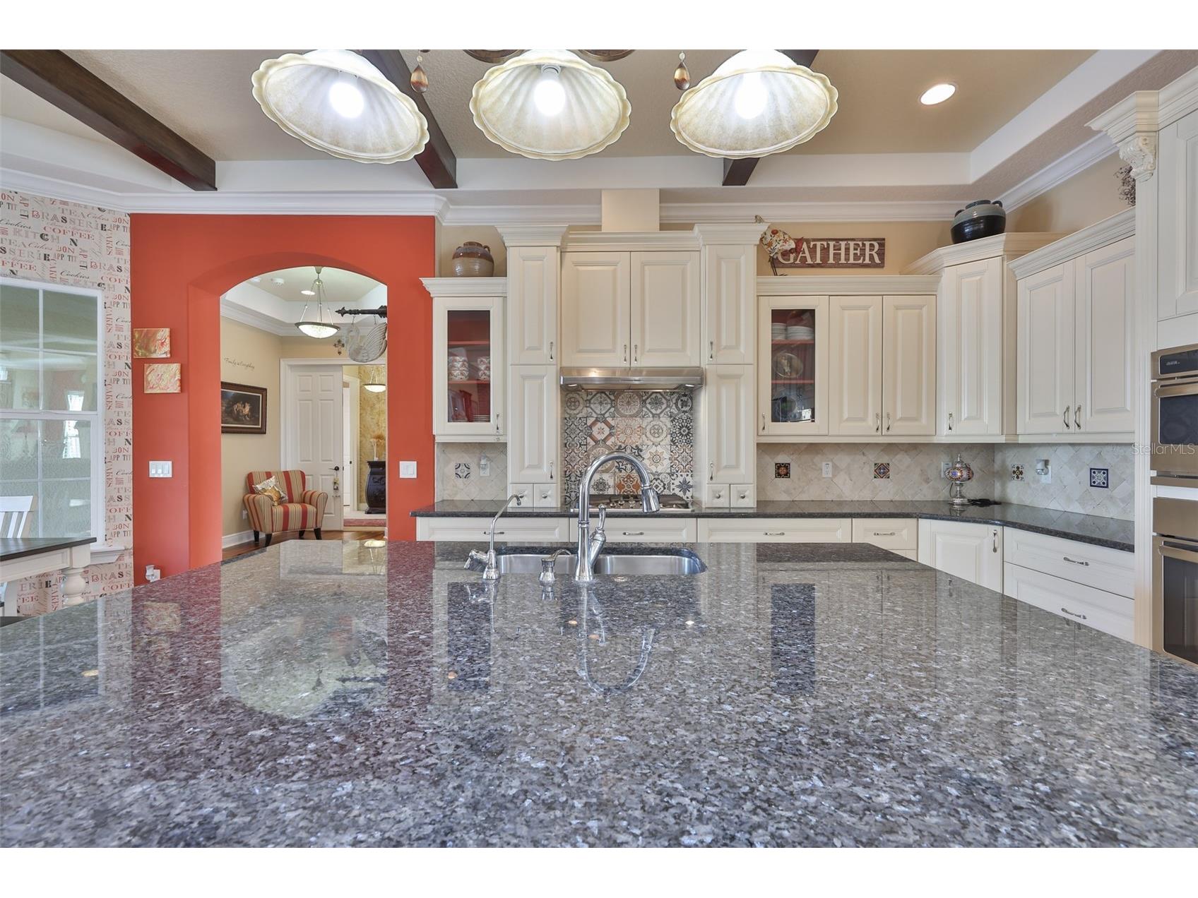 10517 Tarpon Springs Road Odessa FL 33556 - LAKE GIBSON TB8491023 image26