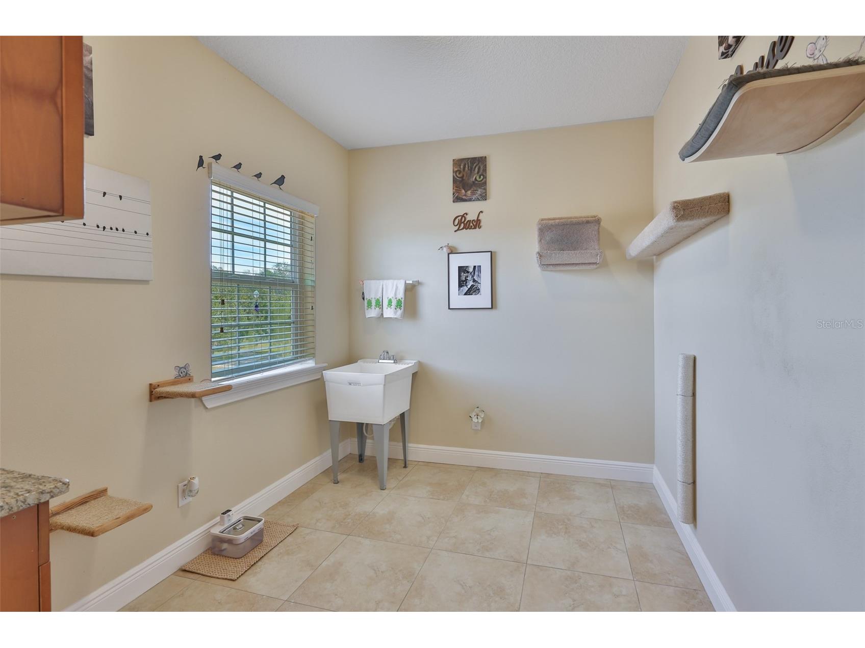 10517 Tarpon Springs Road Odessa FL 33556 - LAKE GIBSON TB8491023 image37