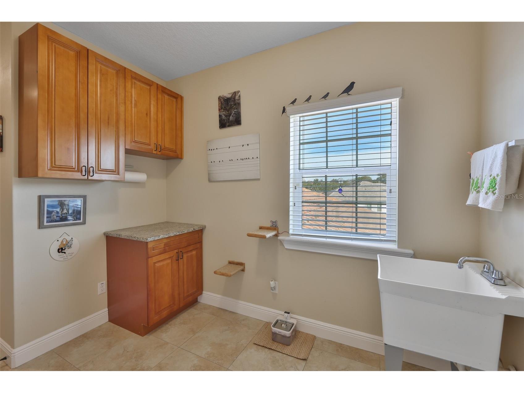 10517 Tarpon Springs Road Odessa FL 33556 - LAKE GIBSON TB8491023 image38