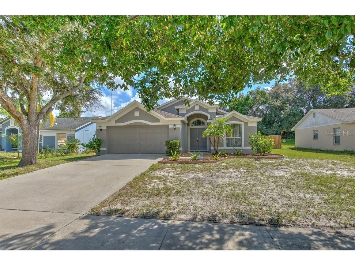 10518 Juliano Drive Riverview FL 33569 TB8307632 image1