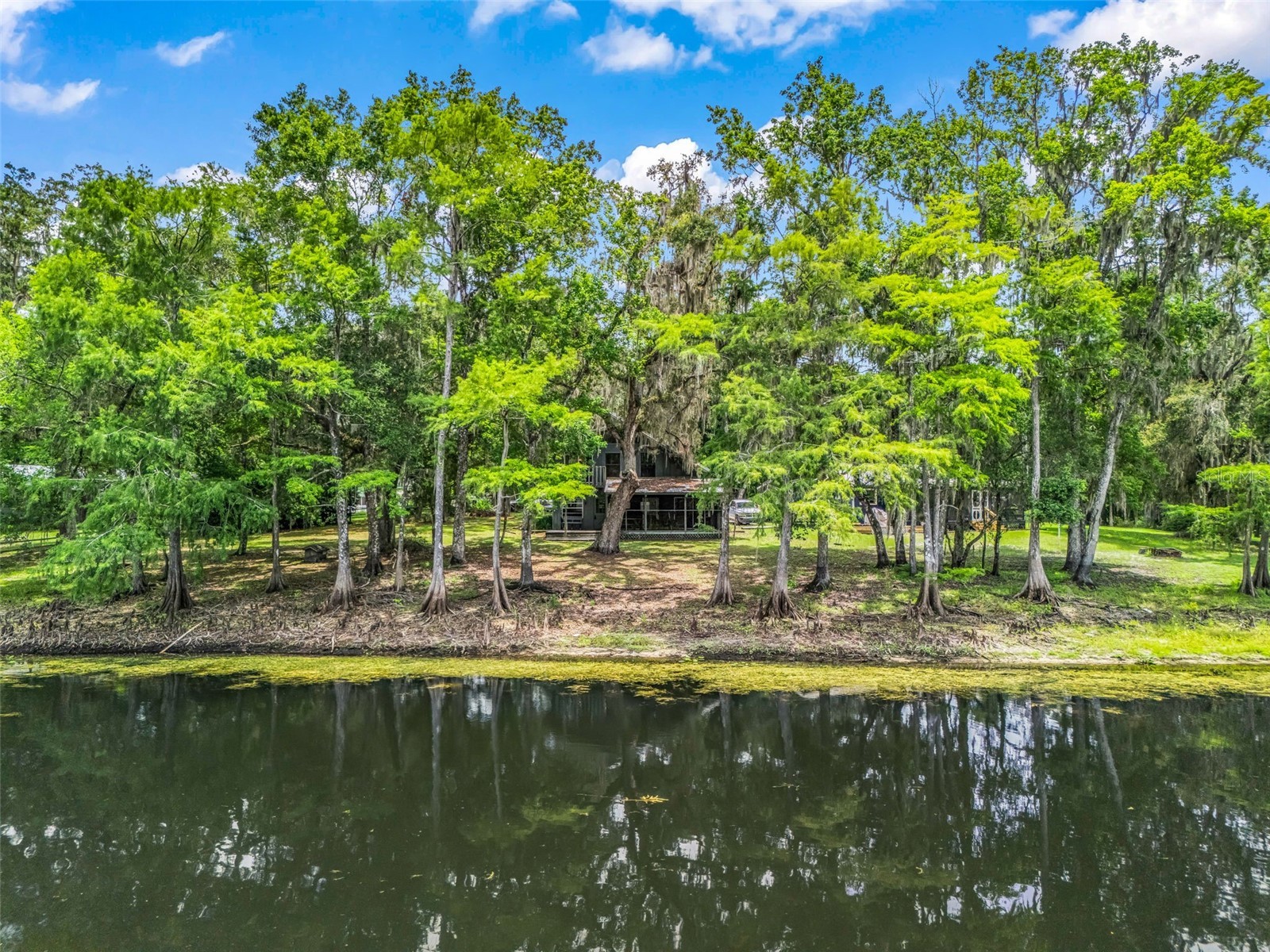 10518 SW 64th Avenue Bushnell FL 33513 - WITHLACOOCHEE RIVER G5114486 image3