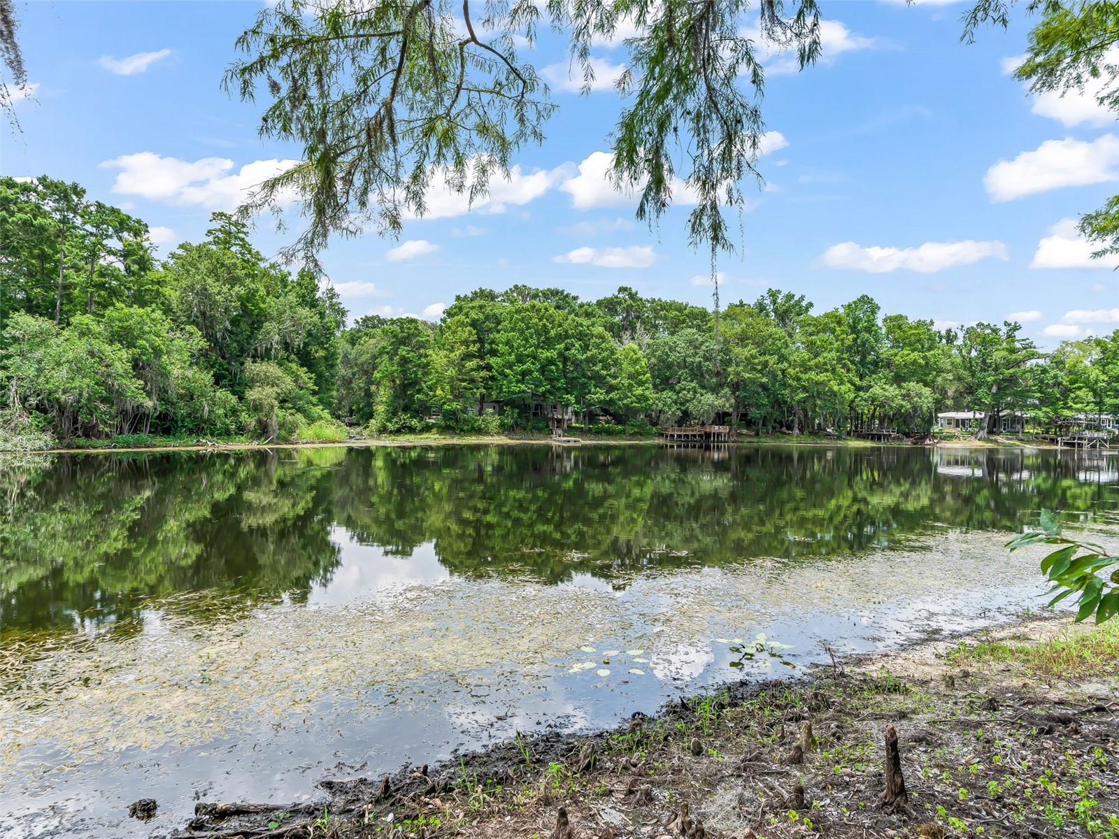 10518 SW 64th Avenue Bushnell FL 33513 - WITHLACOOCHEE RIVER G5114486 image37