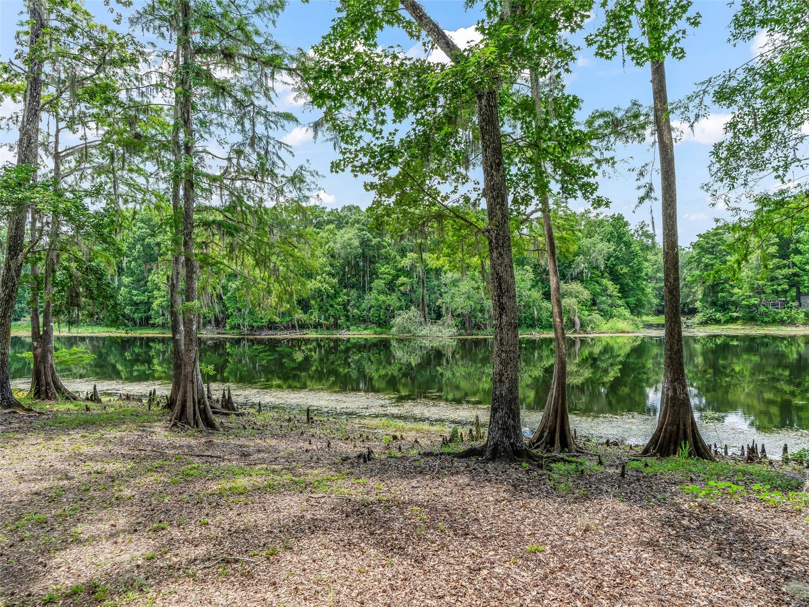 10518 SW 64th Avenue Bushnell FL 33513 - WITHLACOOCHEE RIVER G5114486 image38