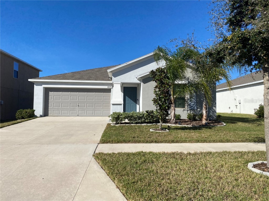 10519 Strawberry Tetra Drive Riverview FL 33578 T3507240 image1