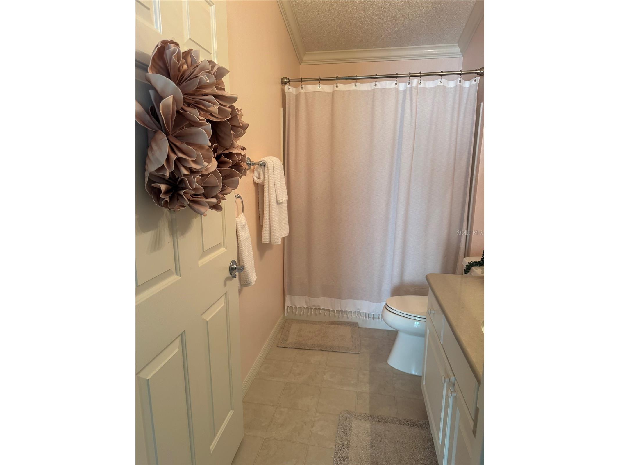 1052 Jackson Street The Villages FL 32162 G5104752 image17