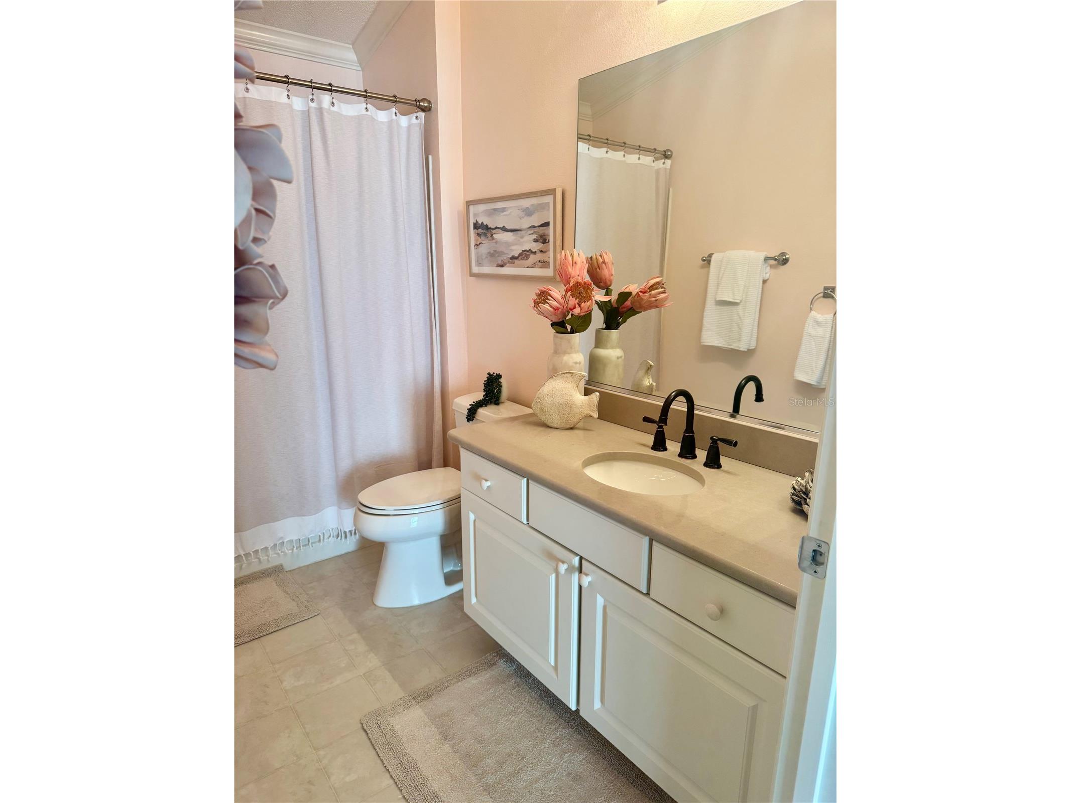 1052 Jackson Street The Villages FL 32162 G5104752 image18