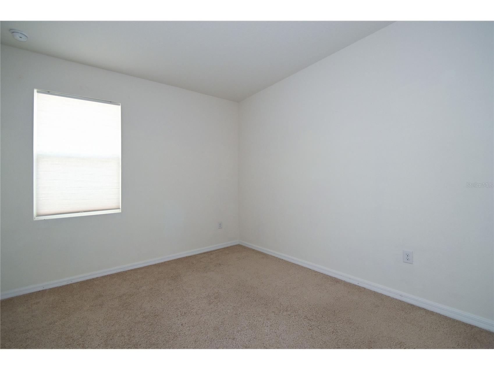 1052 Manzanar Place Wesley Chapel FL 33543 TB8504460 image27