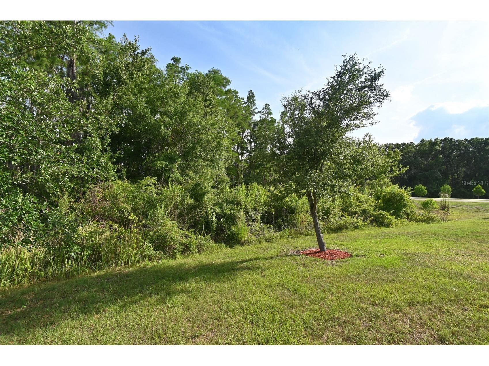 1052 Manzanar Place Wesley Chapel FL 33543 TB8504460 image35