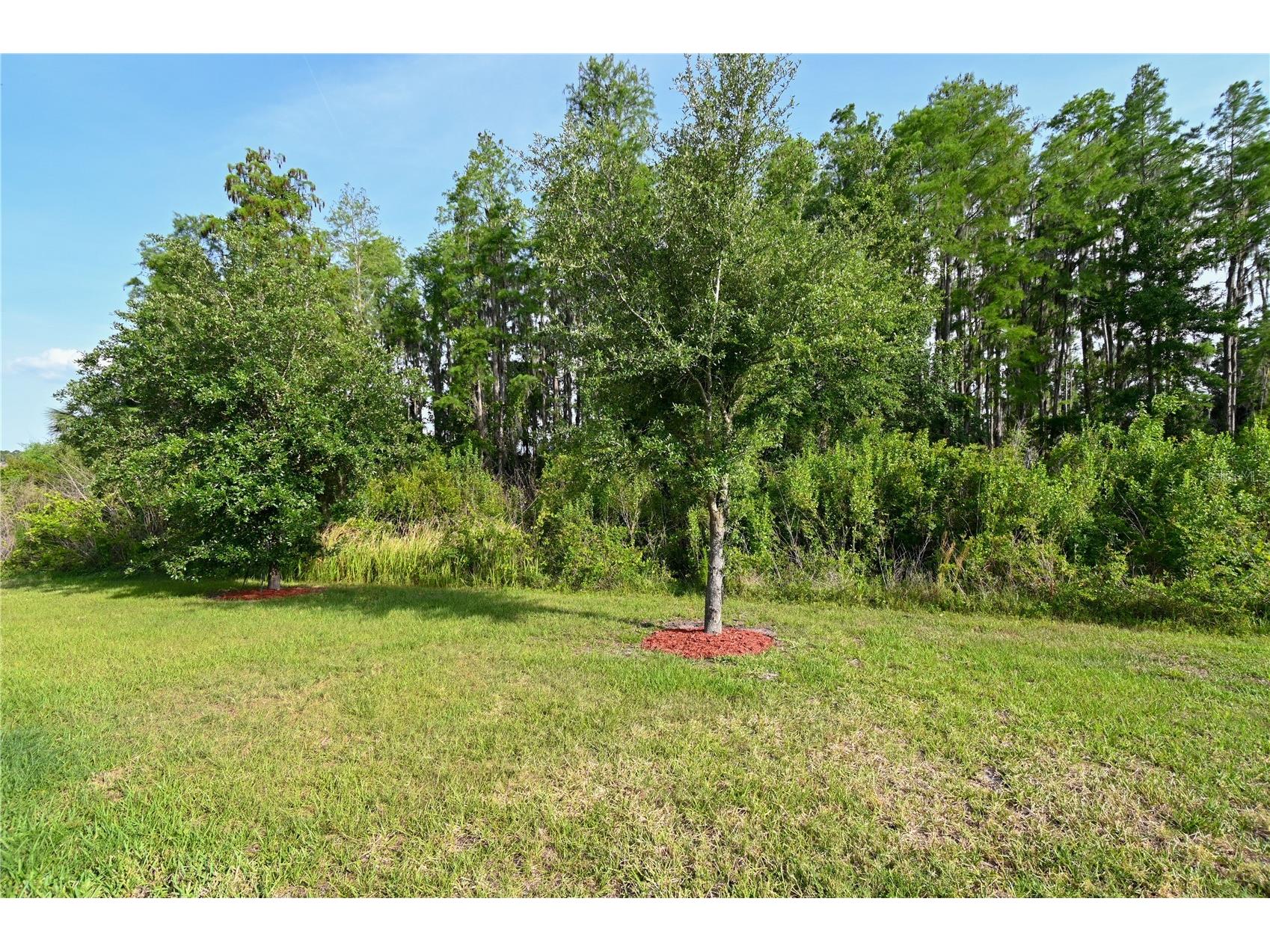 1052 Manzanar Place Wesley Chapel FL 33543 TB8504460 image36