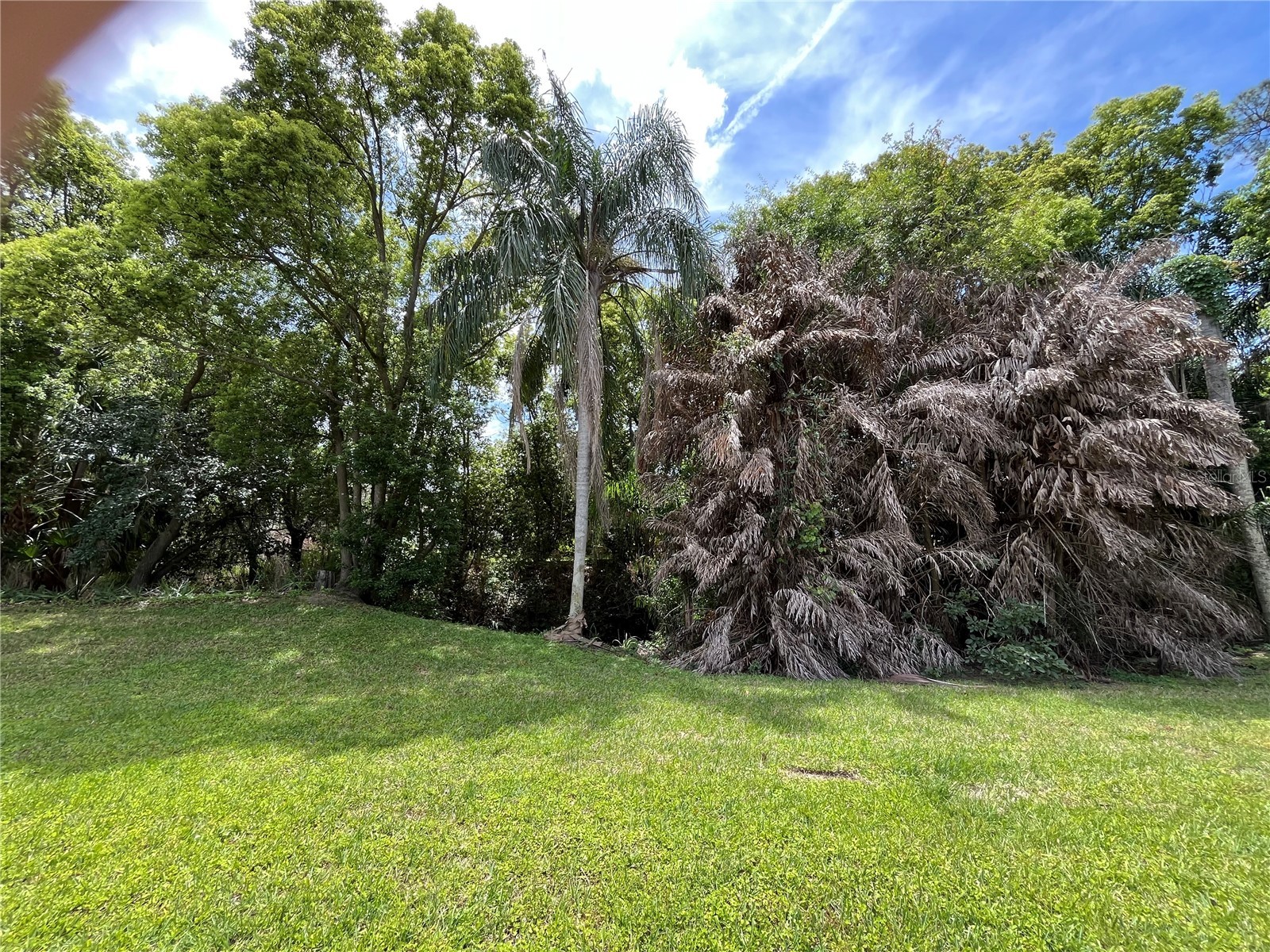 1052 Medinah Drive Winter Haven FL 33884 L4961077 image41