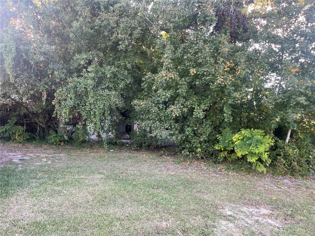 1052 N Davis Avenue Lakeland FL 33805 S5093963 image1