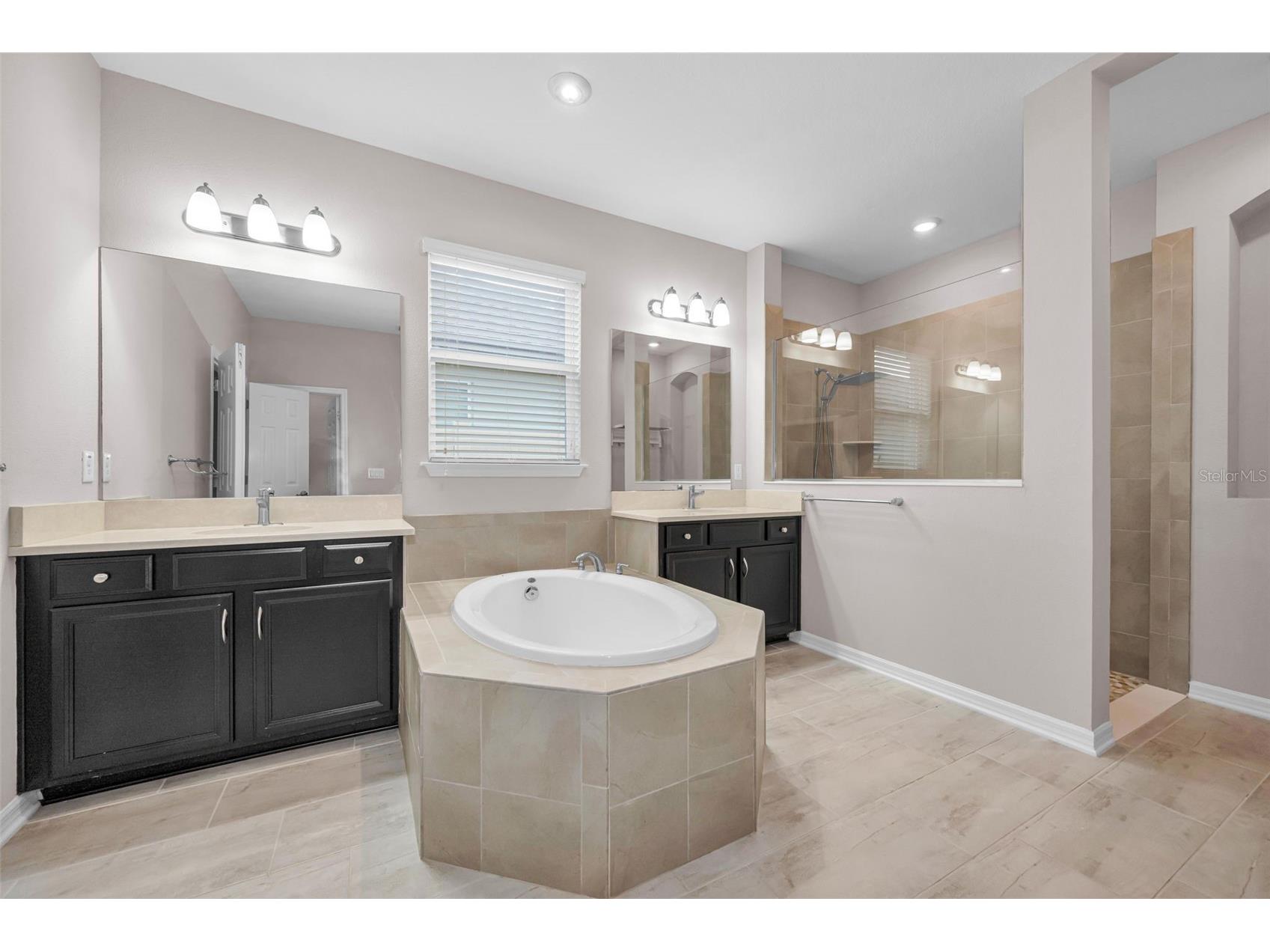 10520 Alcon Blue Drive Riverview FL 33578 TB8508223 image36