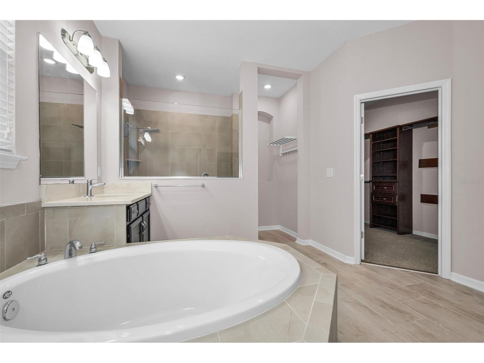 10520 Alcon Blue Drive Riverview FL 33578 TB8508223 image37