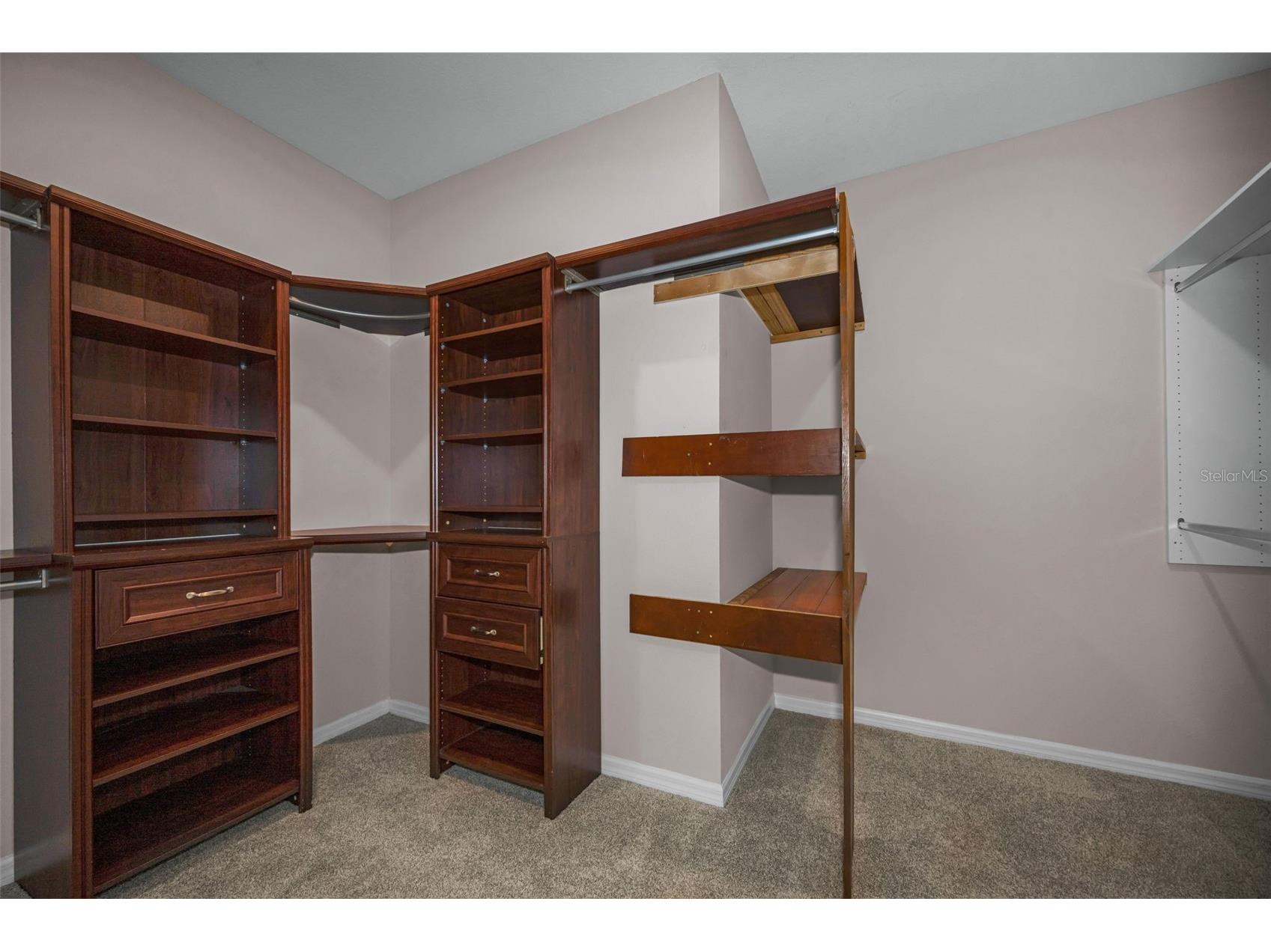 10520 Alcon Blue Drive Riverview FL 33578 TB8508223 image40