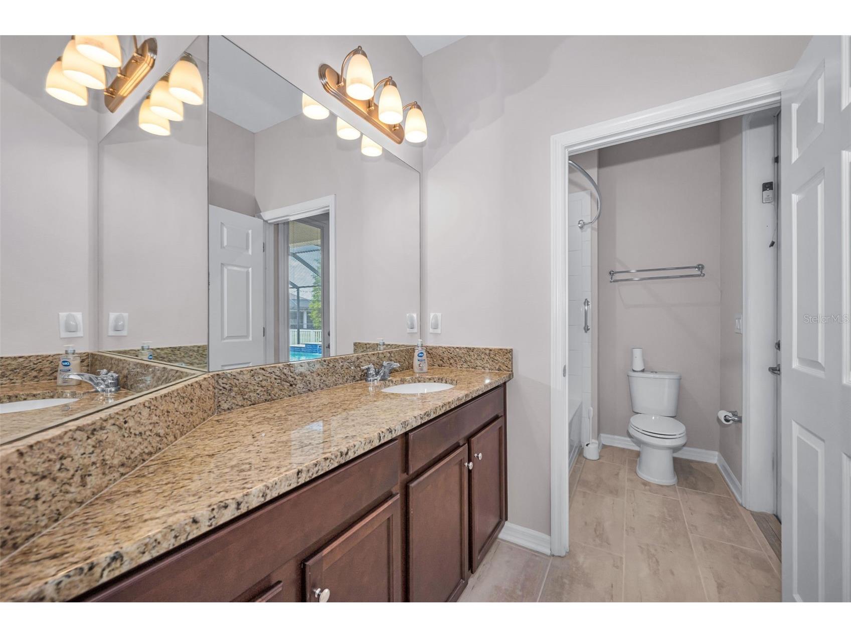 10520 Alcon Blue Drive Riverview FL 33578 TB8508223 image43