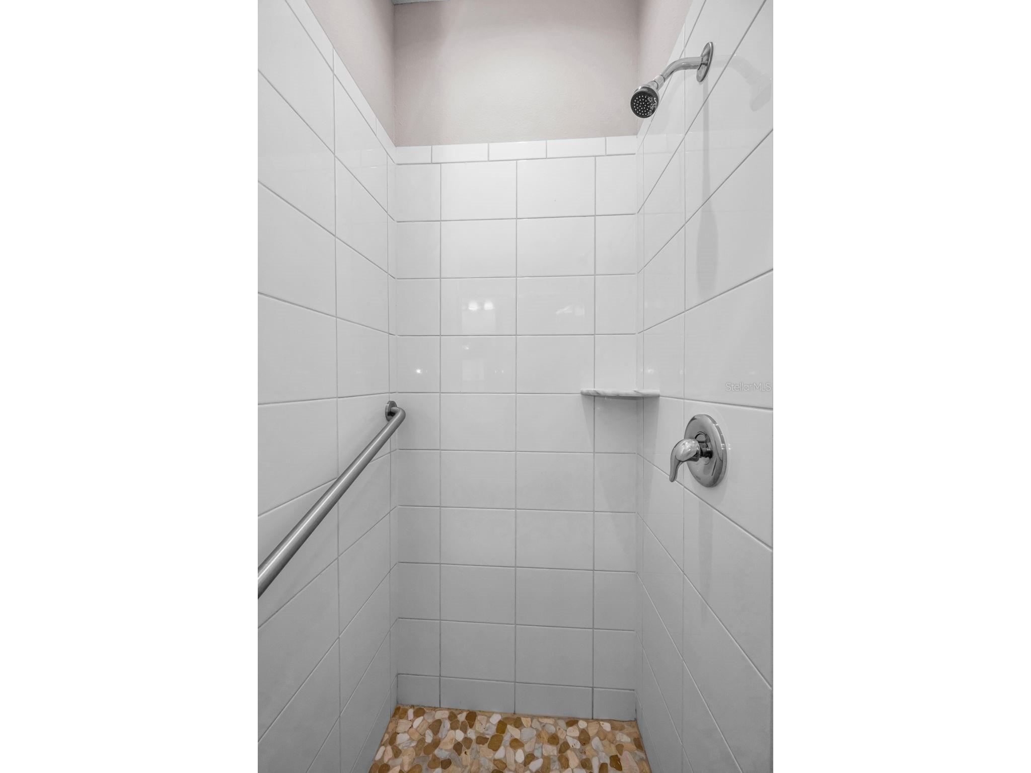 10520 Alcon Blue Drive Riverview FL 33578 TB8508223 image47