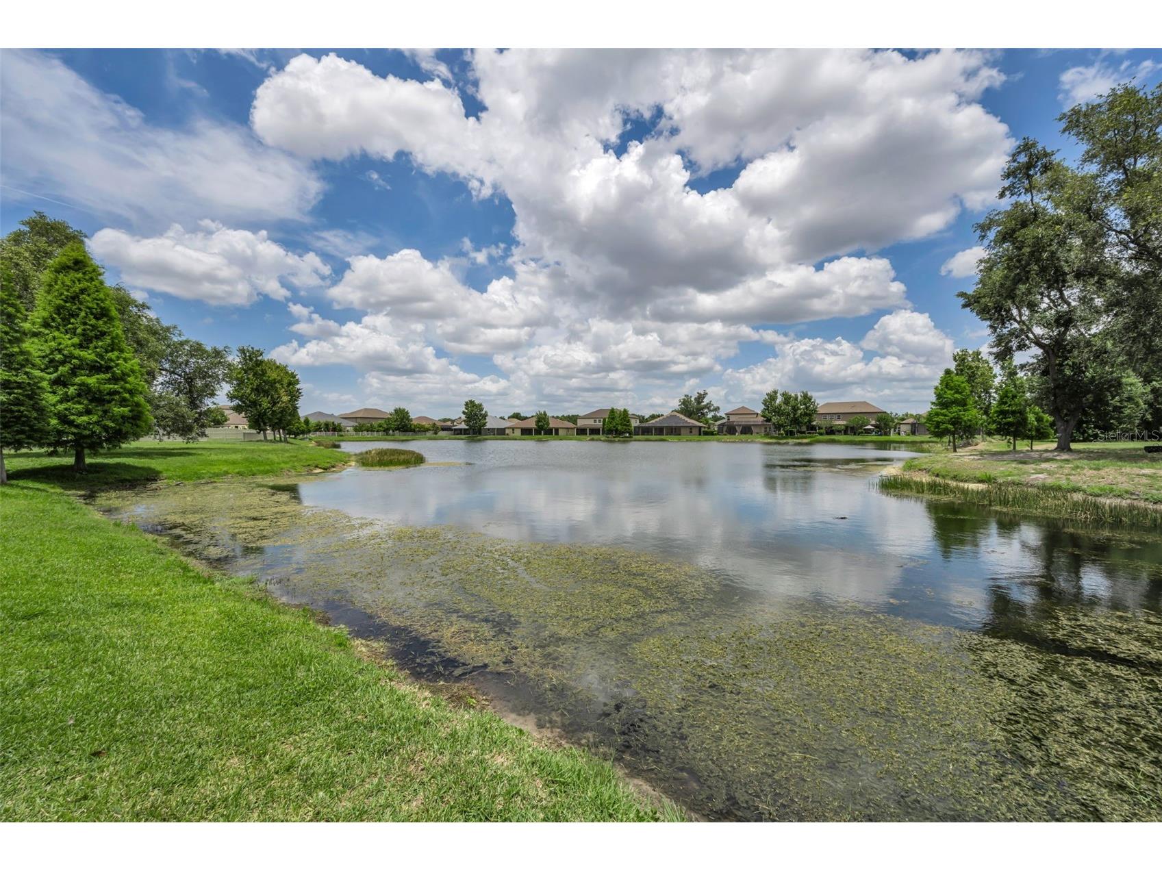 10520 Alcon Blue Drive Riverview FL 33578 TB8508223 image64