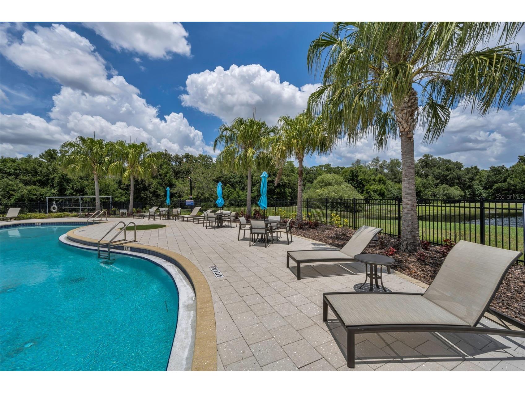 10520 Alcon Blue Drive Riverview FL 33578 TB8508223 image79