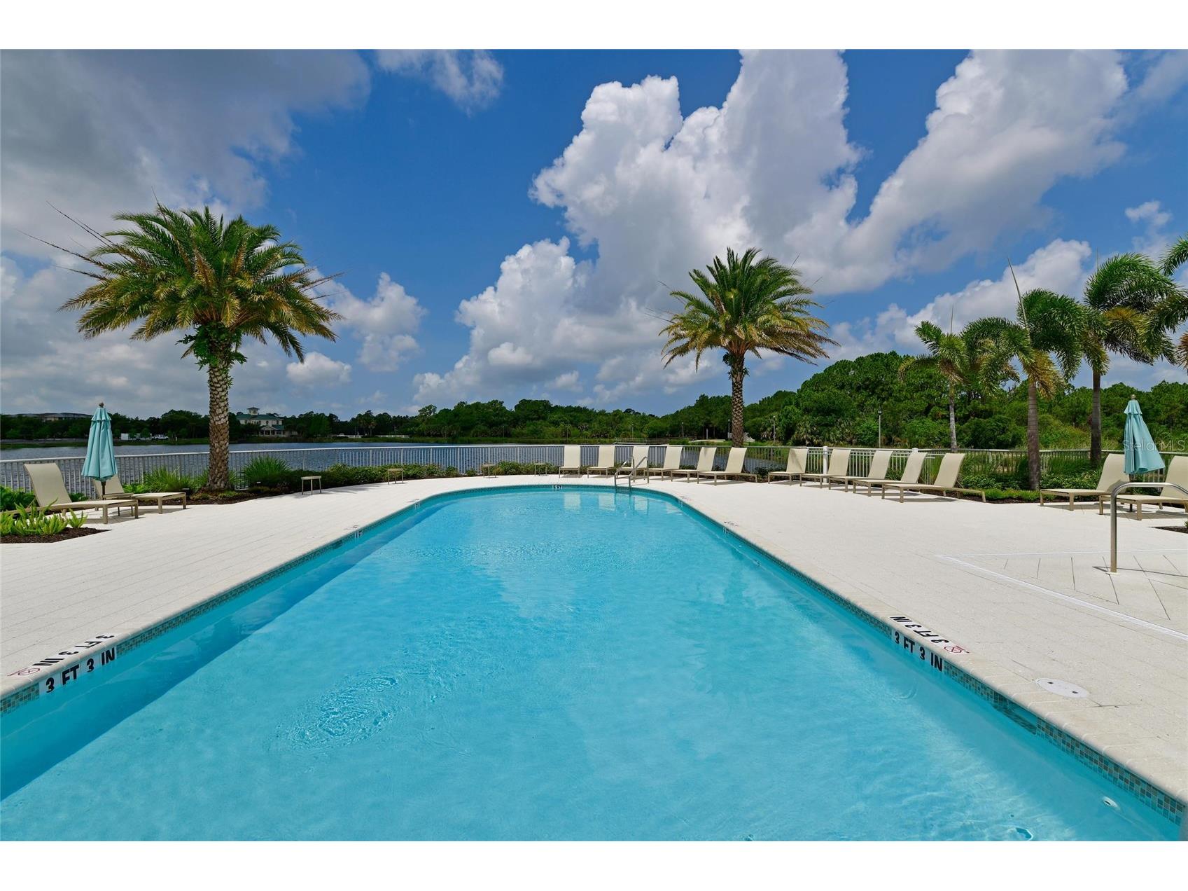 10520 Boardwalk Loop #601 Bradenton FL 34202 A4692047 image38