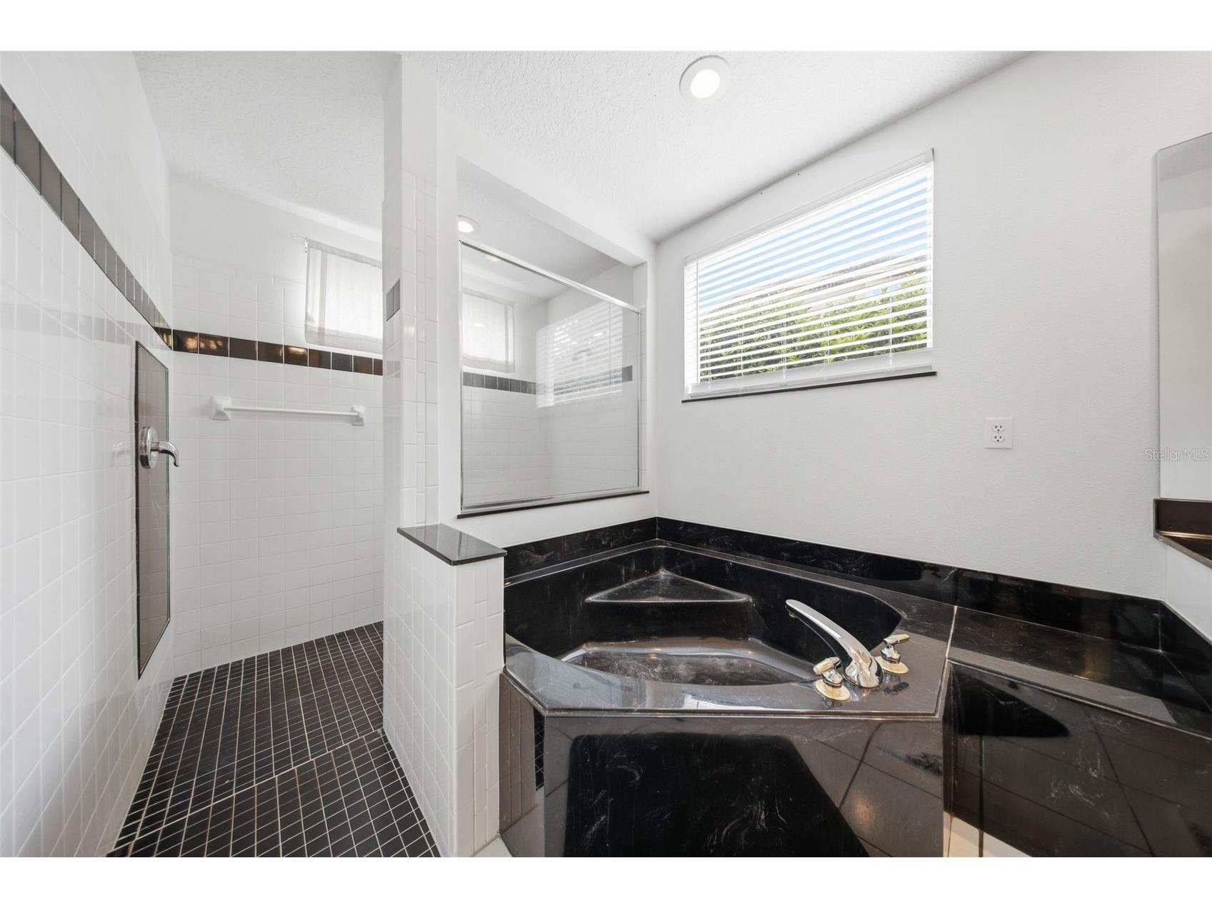 10520 Gleam Court Orlando FL 32836 O6400539 image25