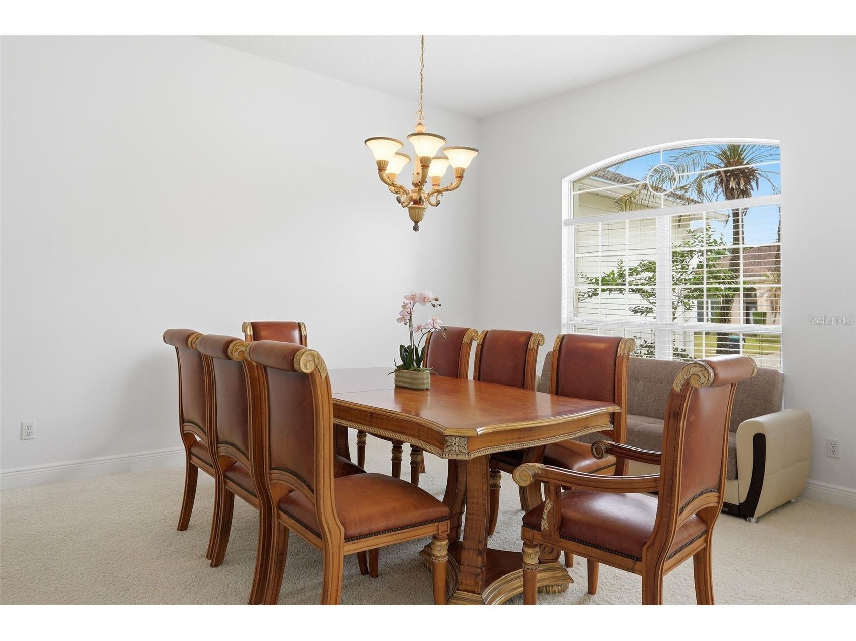 10520 Gleam Court Orlando FL 32836 O6400539 image8