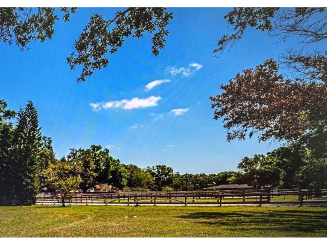 10520 Henderson Road Tampa FL 33625 TB8392891 image4
