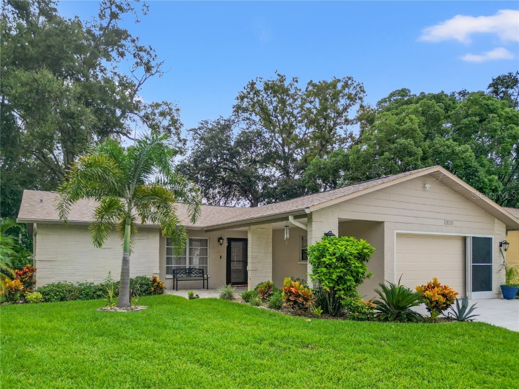 10520 Hillrise Court Port Richey FL 34668 T3551469 image1