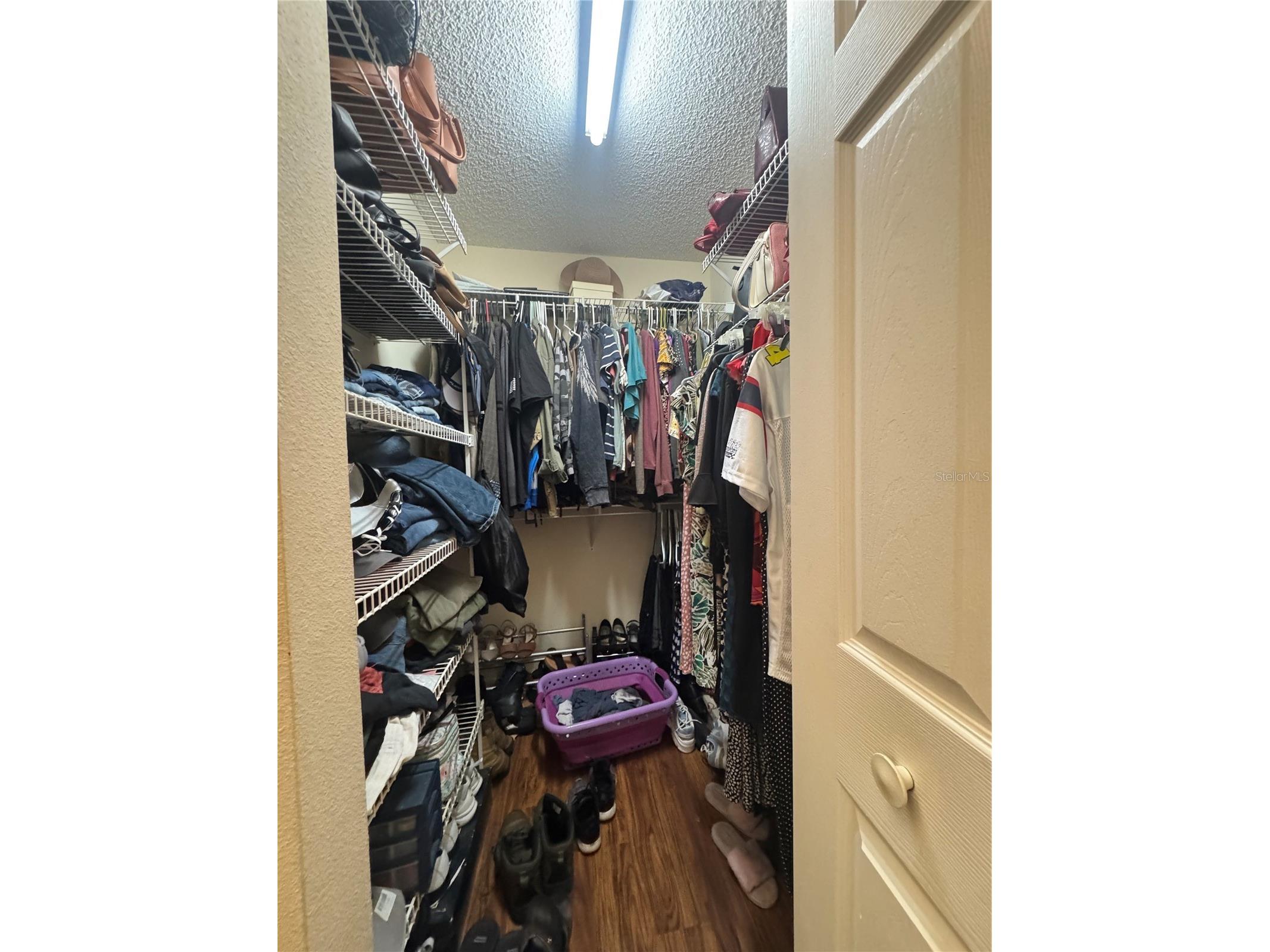 10520 Millriver Drive New Port Richey FL 34654 TB8476058 image15