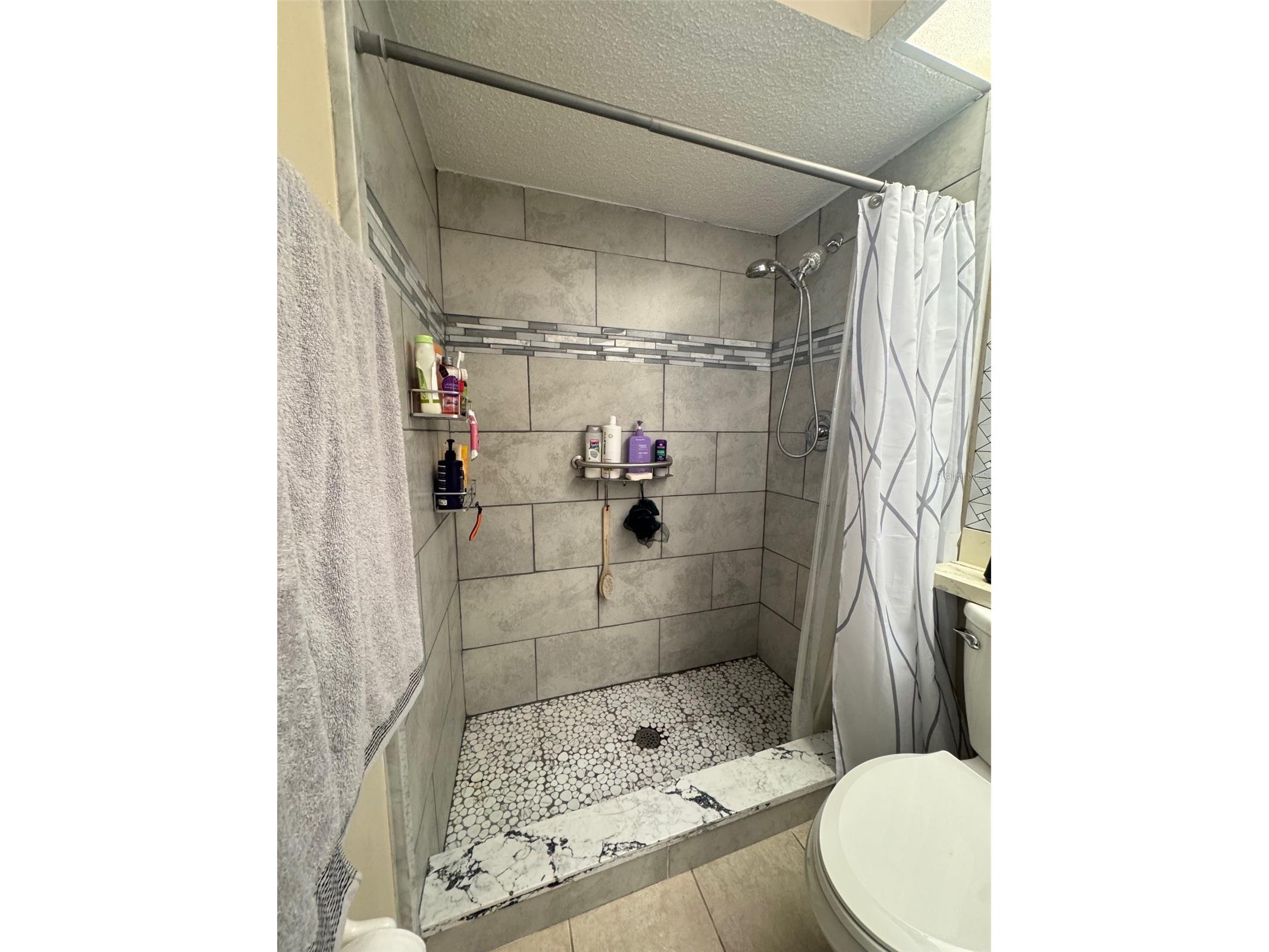 10520 Millriver Drive New Port Richey FL 34654 TB8476058 image17