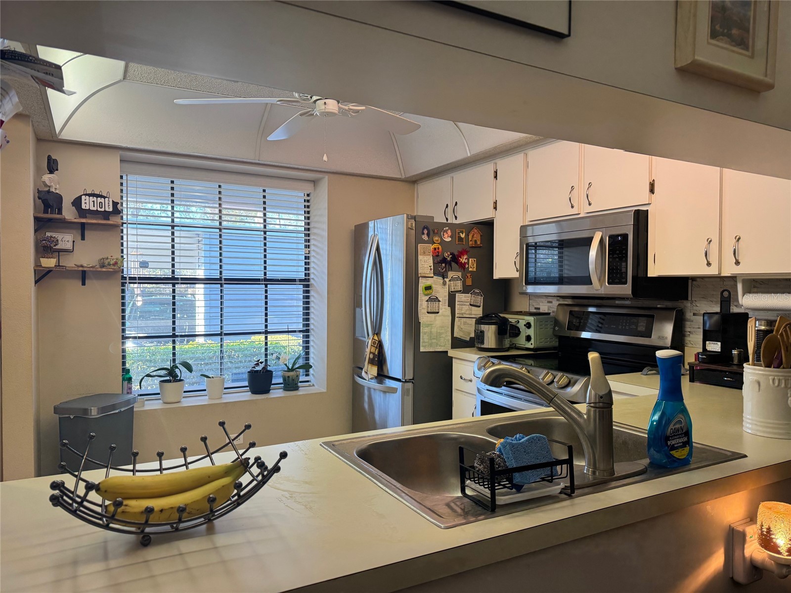 10520 Millriver Drive New Port Richey FL 34654 TB8476058 image7