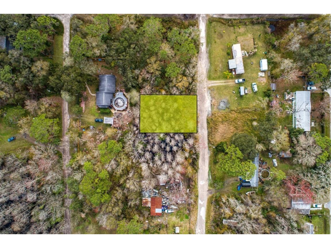 10520 Shalimar Street New Port Richey FL 34654 T3441111 image1