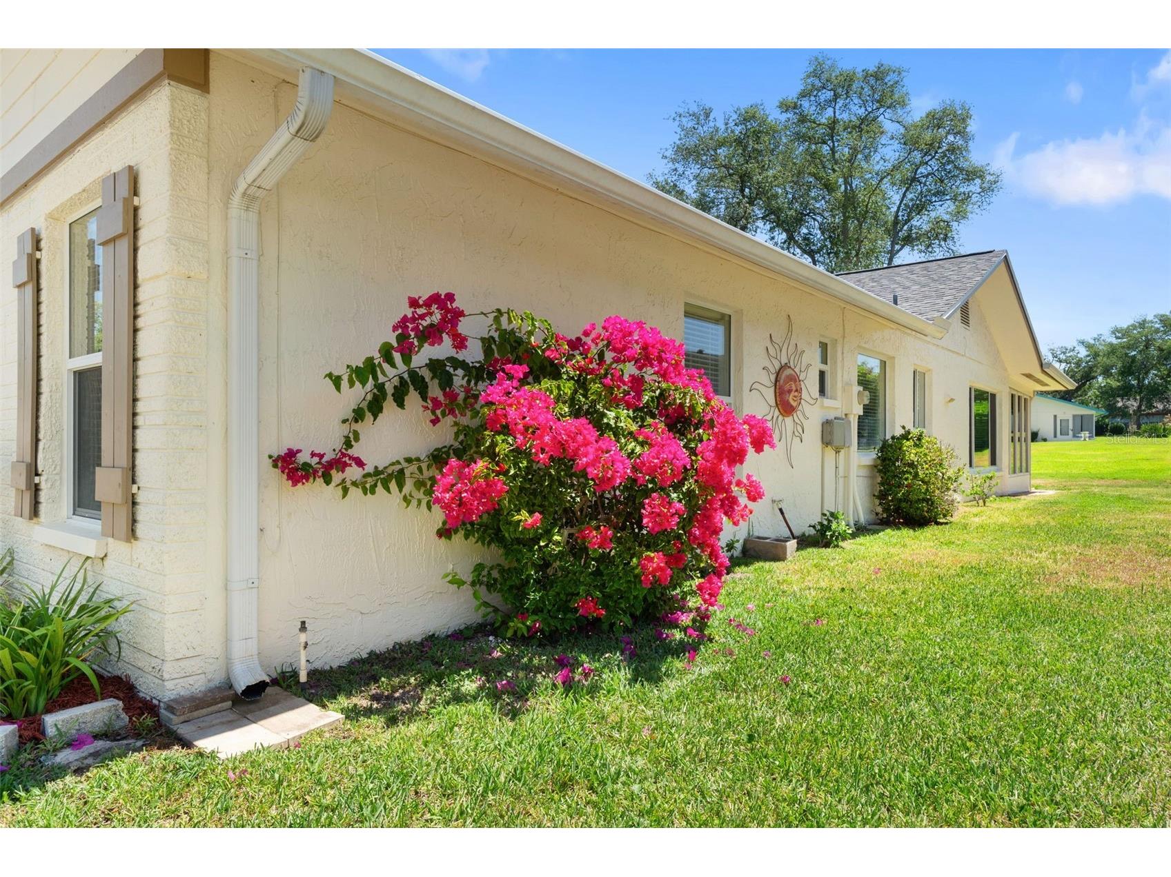10520 Springwood Drive Port Richey FL 34668 W7885619 image30