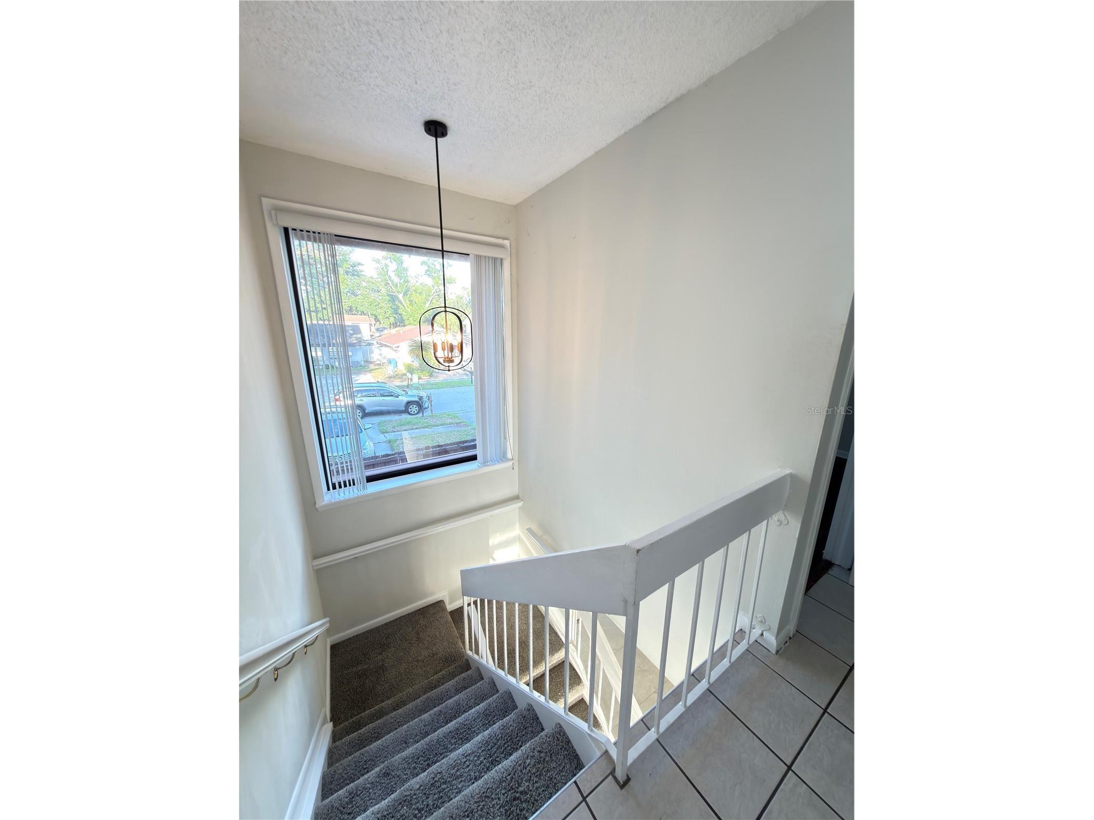 10520 Winrock Place Tampa FL 33624 TB8514573 image1