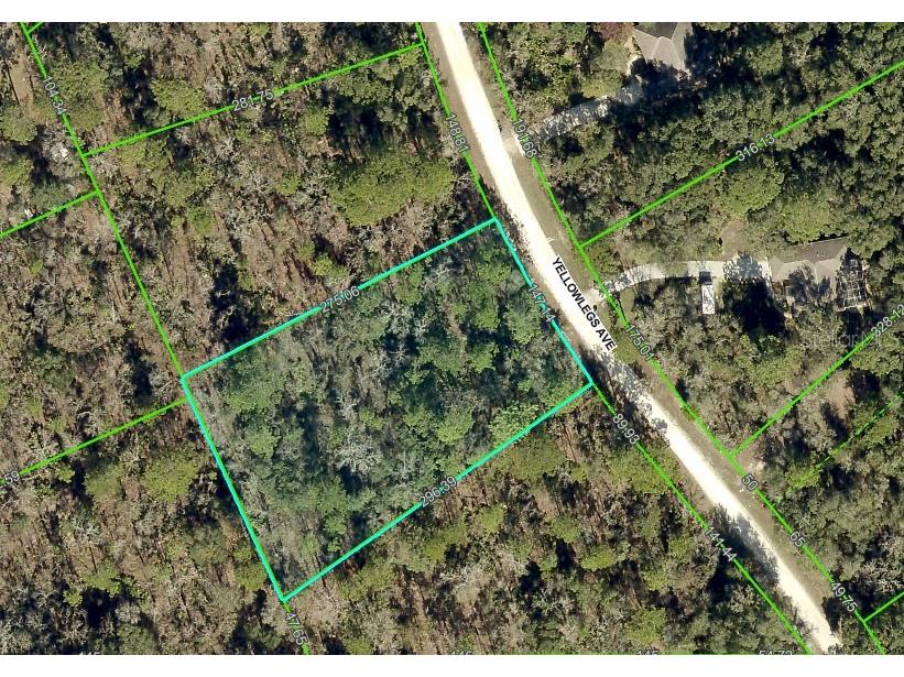 10520 Yellowlegs Avenue Weeki Wachee FL 34614 W7873397 image1