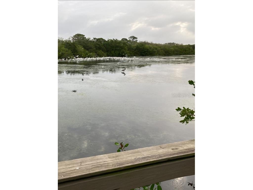 10521 Amberjack Way #303 Englewood FL 34224 D6142647 image35