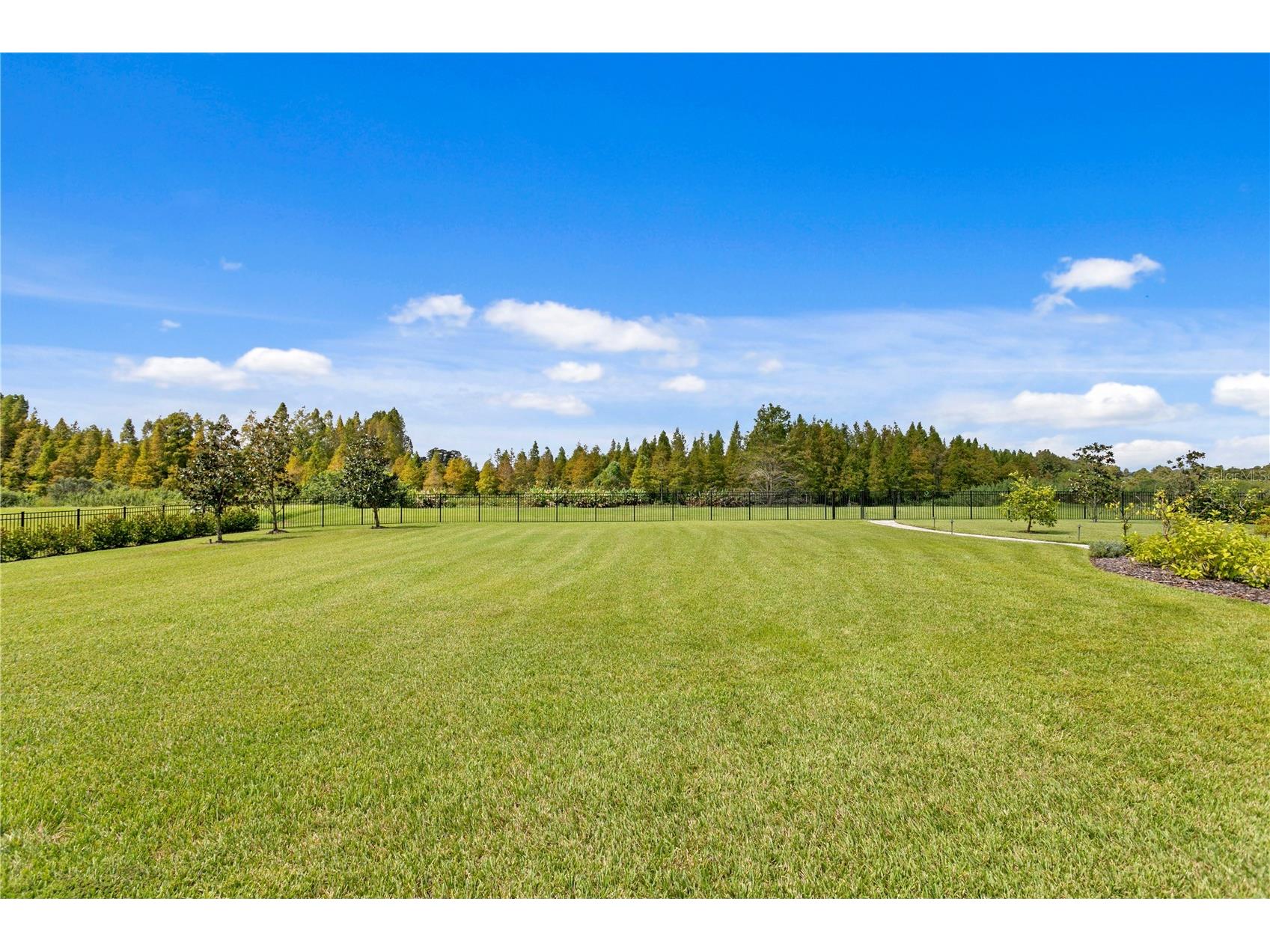 10521 Broadland Pass Thonotosassa FL 33592 TB8502599 image84
