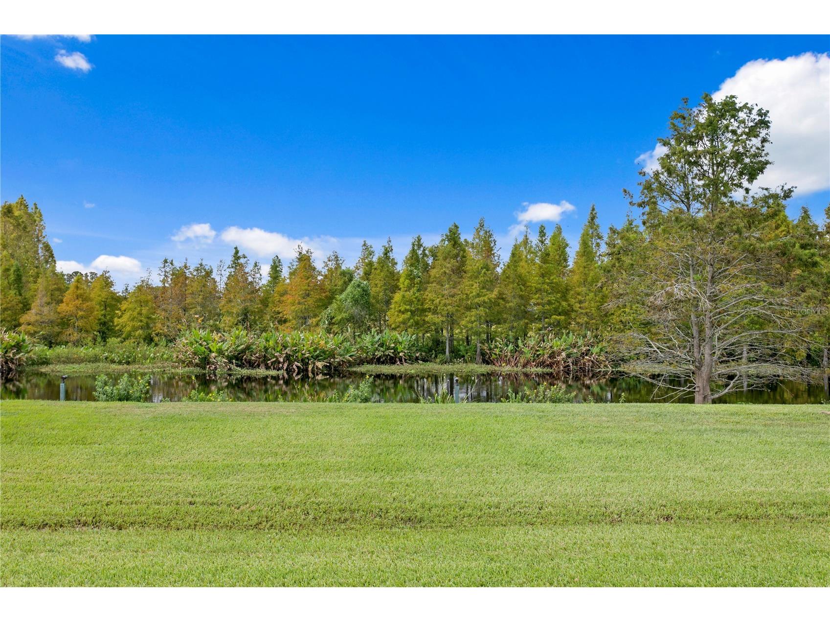 10521 Broadland Pass Thonotosassa FL 33592 TB8502599 image85