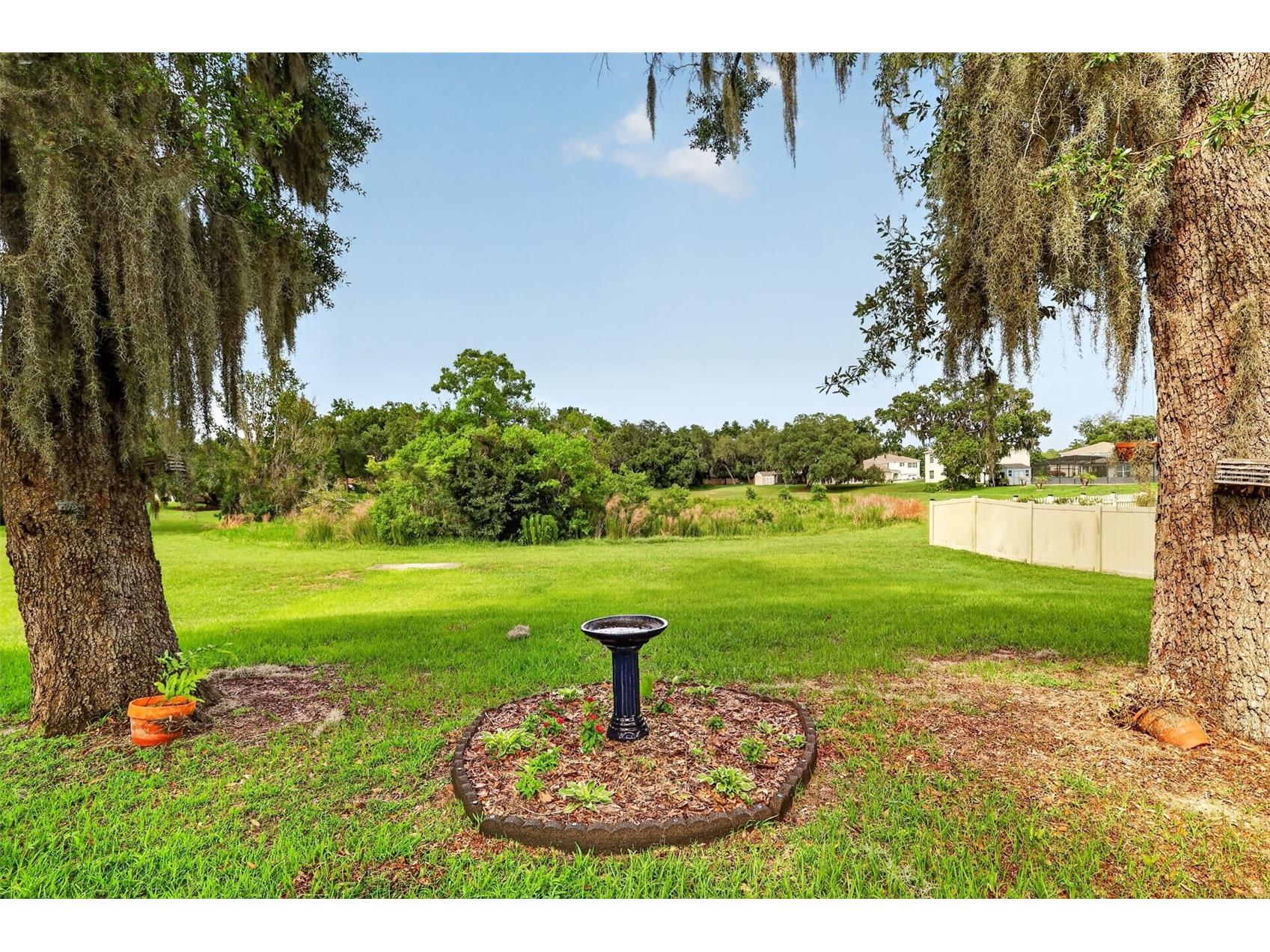 10521 Bronze Leaf Court Leesburg FL 34788 TB8511757 image29