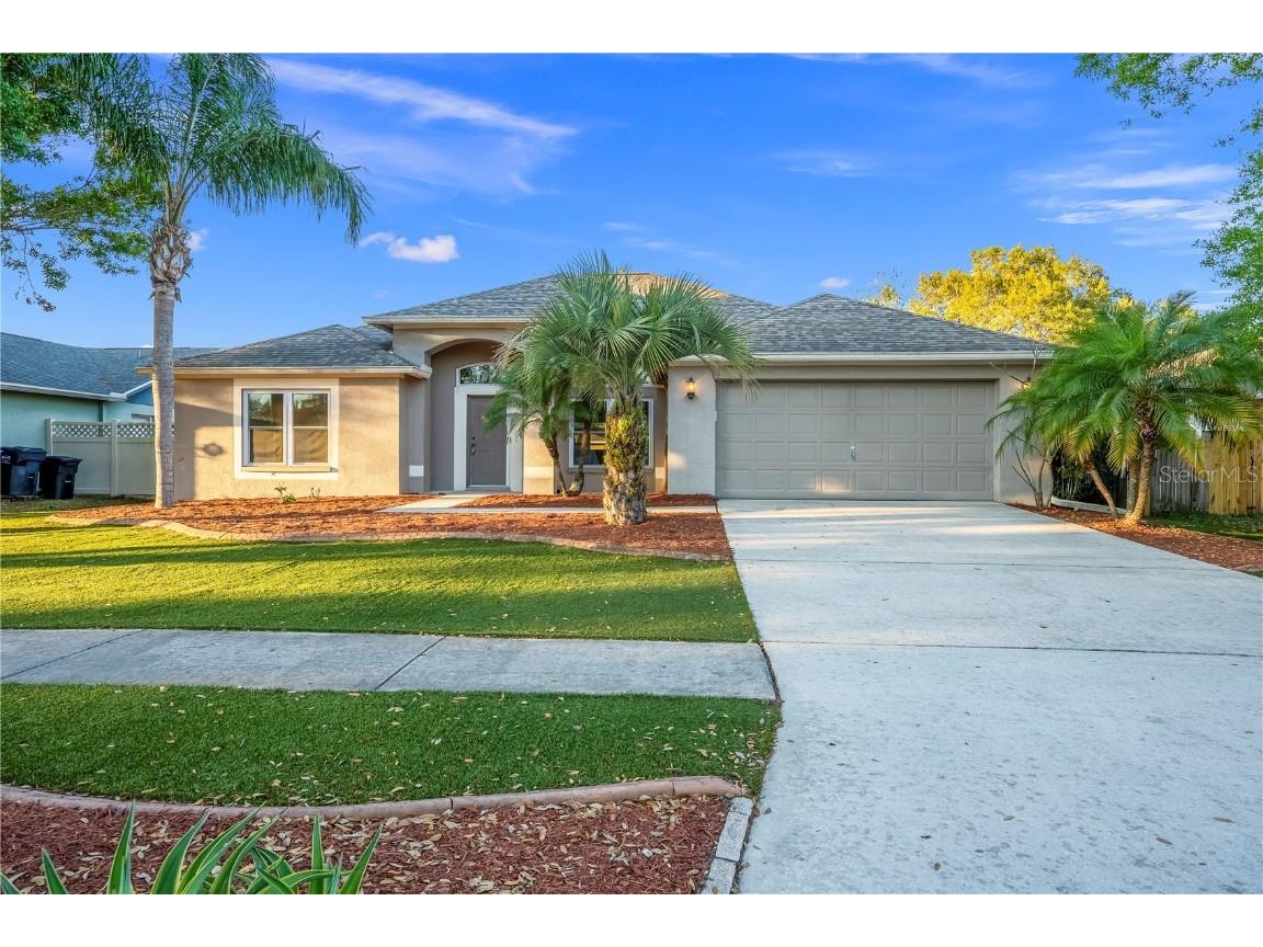 10521 Sedgebrook Drive Riverview FL 33569 T3430566 image1