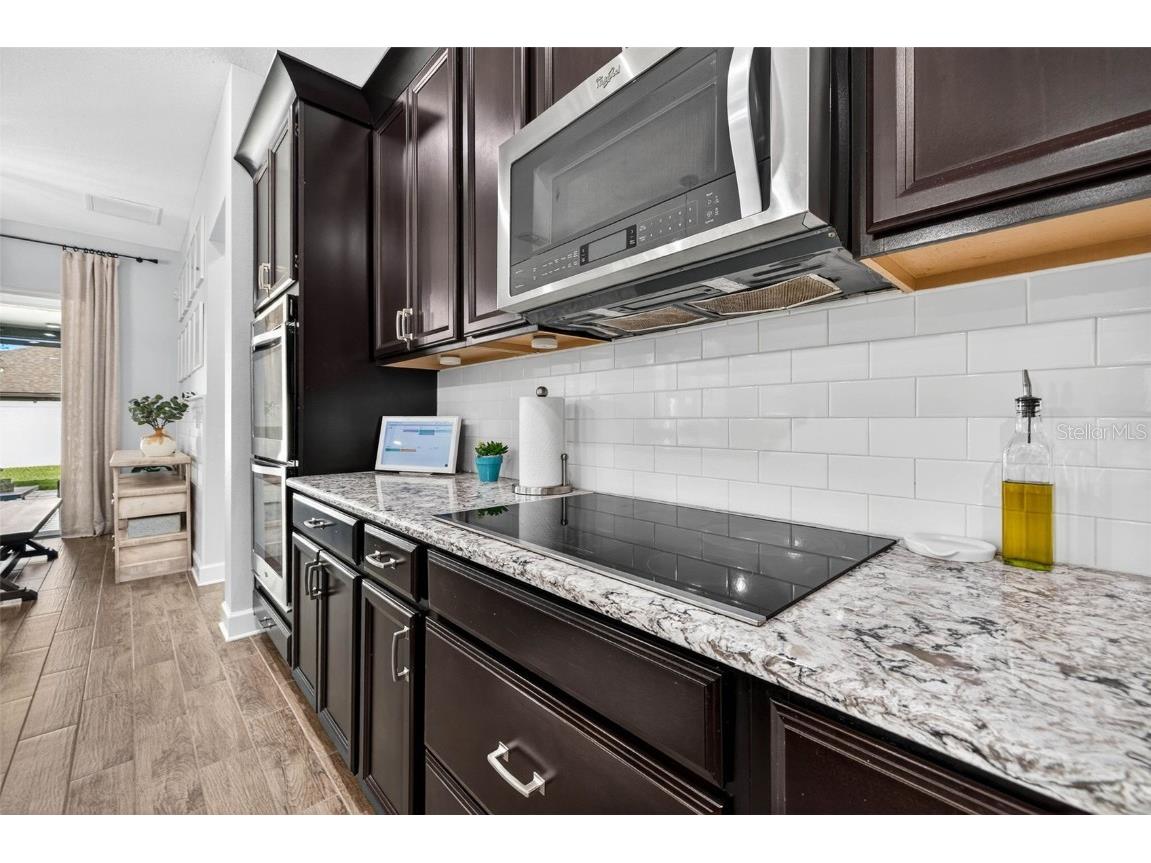 10522 Cardera Drive Riverview FL 33578 TB8447664 image16