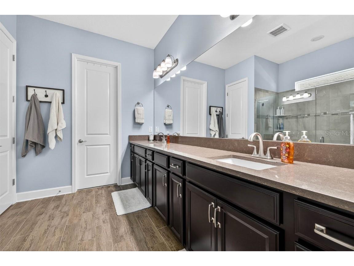 10522 Cardera Drive Riverview FL 33578 TB8447664 image21