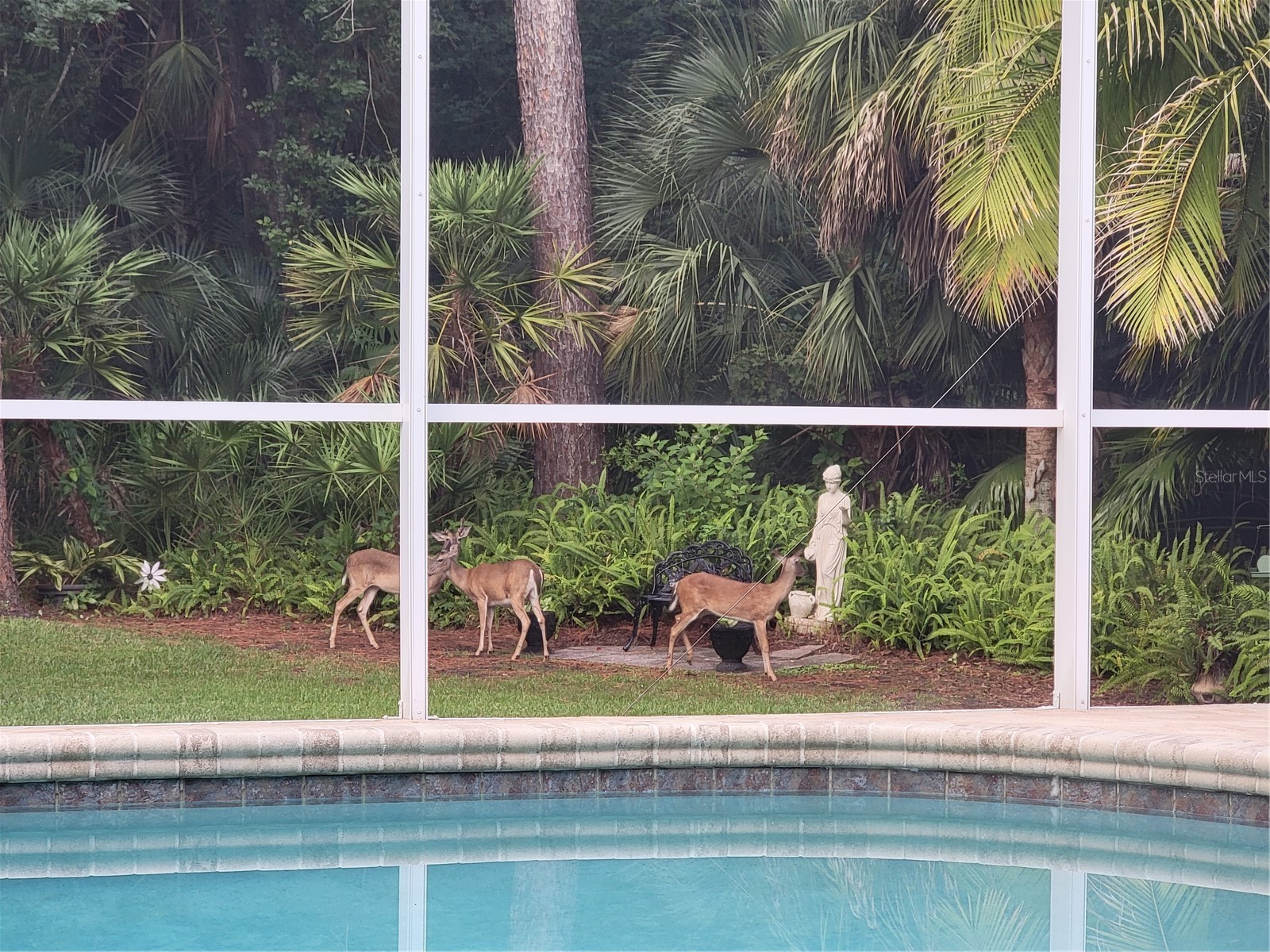 10522 Chambers Drive Tampa FL 33626 TB8523391 image2