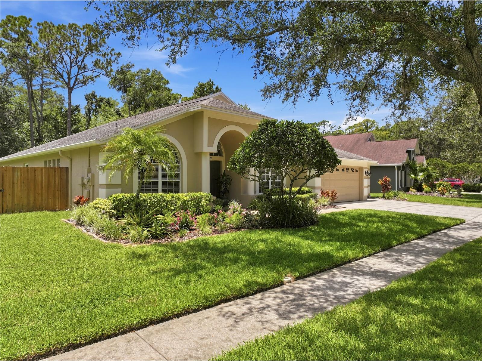 10522 Chambers Drive Tampa FL 33626 TB8523391 image3