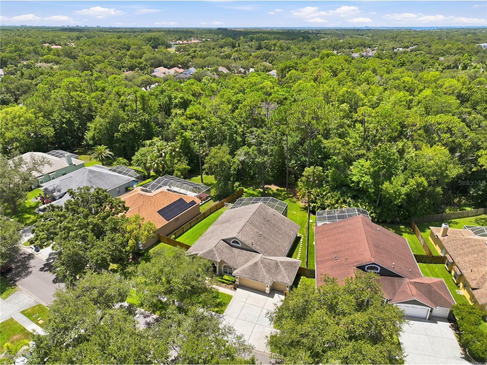 10522 Chambers Drive Tampa FL 33626 TB8523391 image50