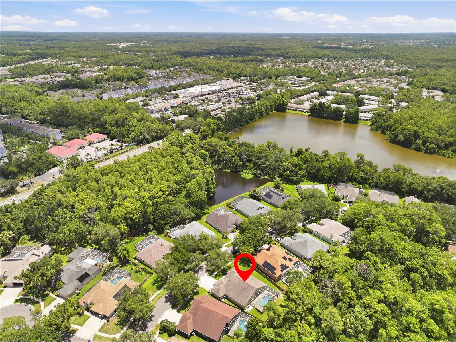 10522 Chambers Drive Tampa FL 33626 TB8523391 image52