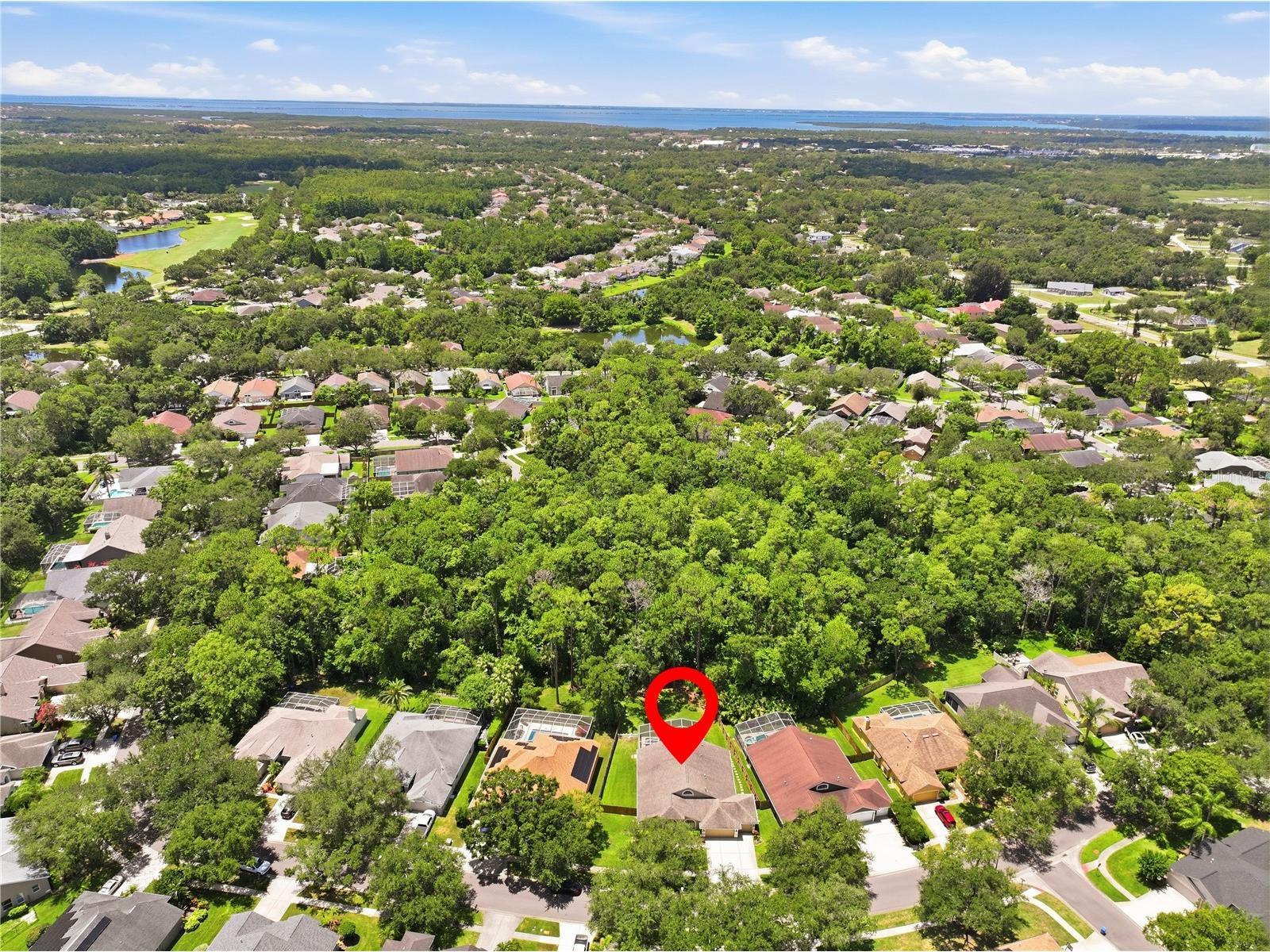 10522 Chambers Drive Tampa FL 33626 TB8523391 image53