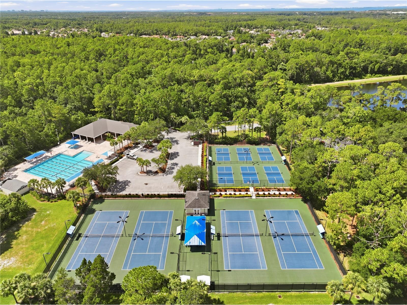 10522 Chambers Drive Tampa FL 33626 TB8523391 image61