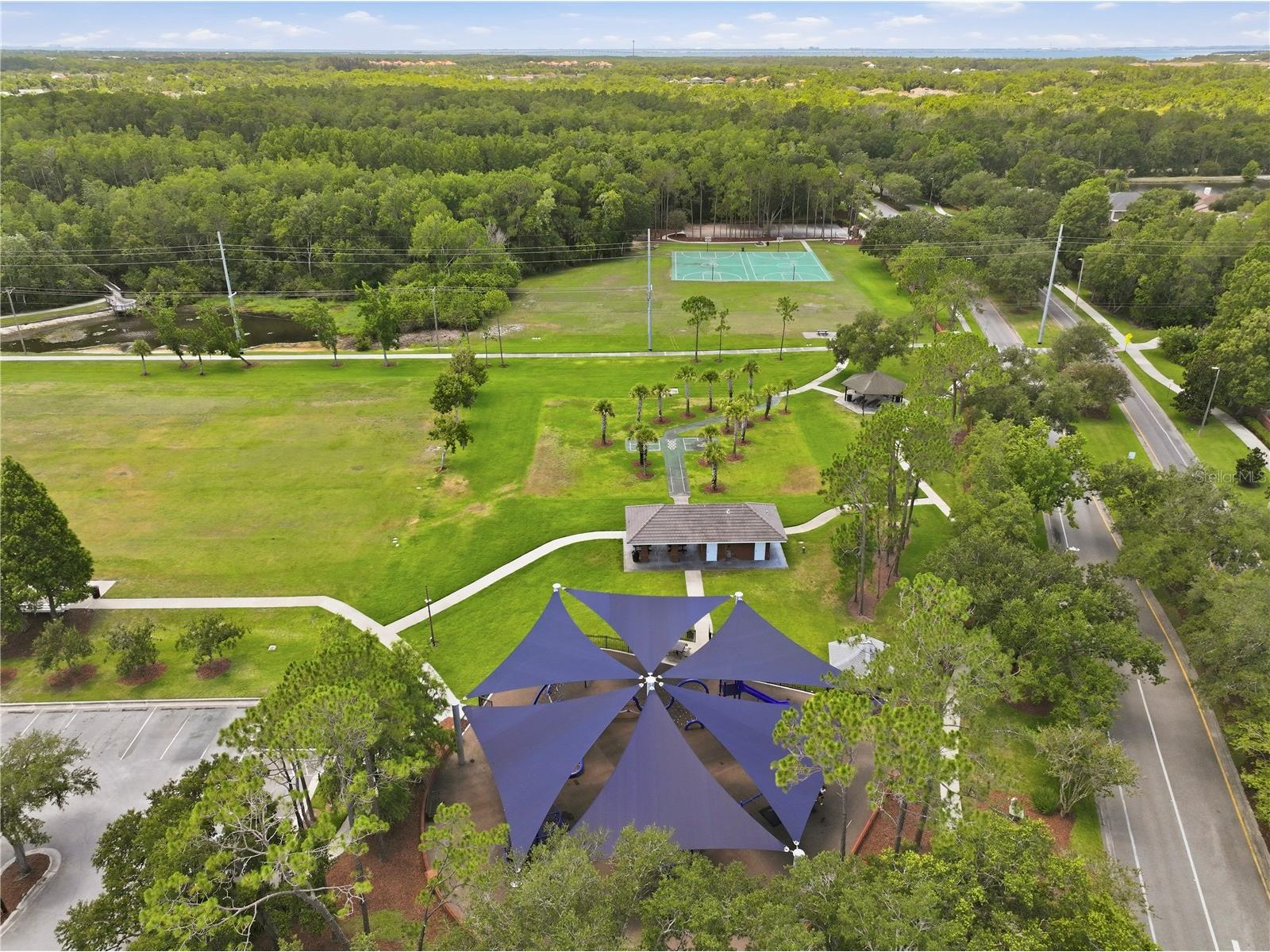10522 Chambers Drive Tampa FL 33626 TB8523391 image65