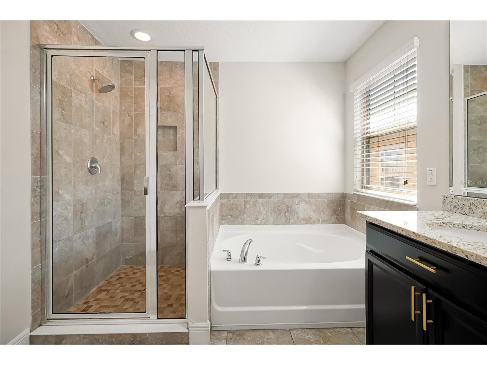 10522 Green Ivy Lane Orlando FL 32832 O6385951 image23