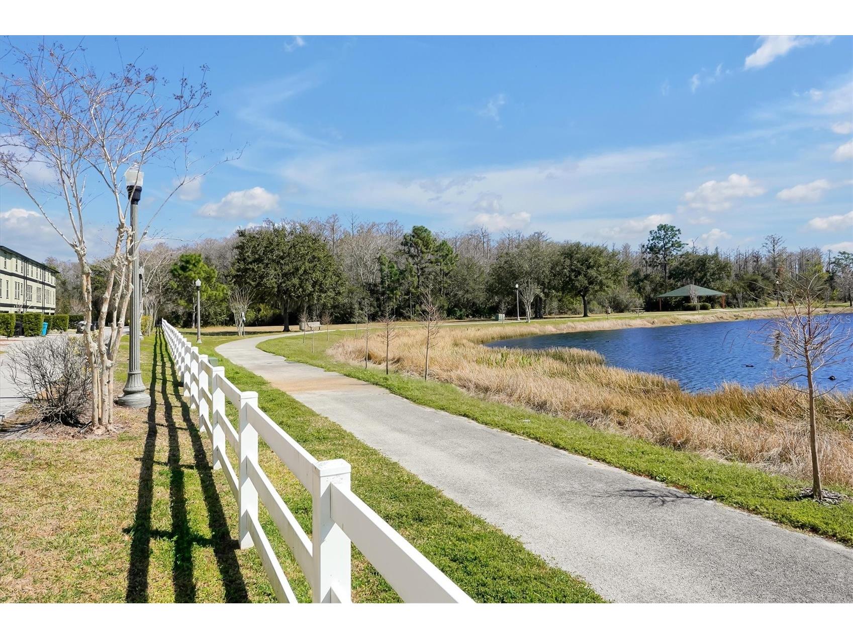 10522 Green Ivy Lane Orlando FL 32832 O6385951 image34